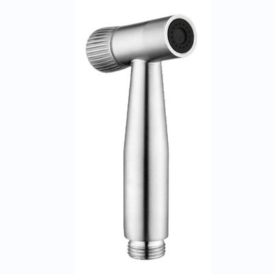 Bagno spazzolato in acciaio inossidabile 304 Bidet portatile Spray Doccia in plastica grigio chiaro